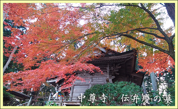 2022-代々木公園の紅葉