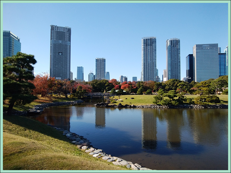 浜離宮の紅葉