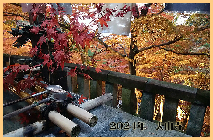 2024-伊勢原大山寺の紅葉
